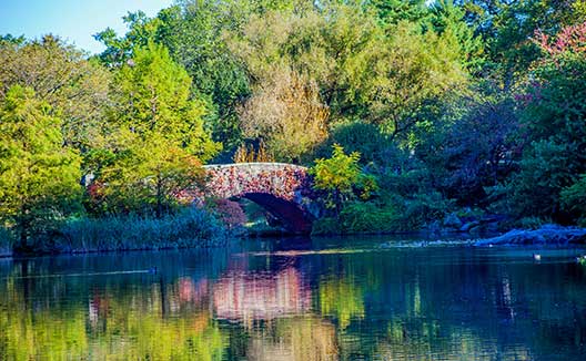 Bridge in Central Park